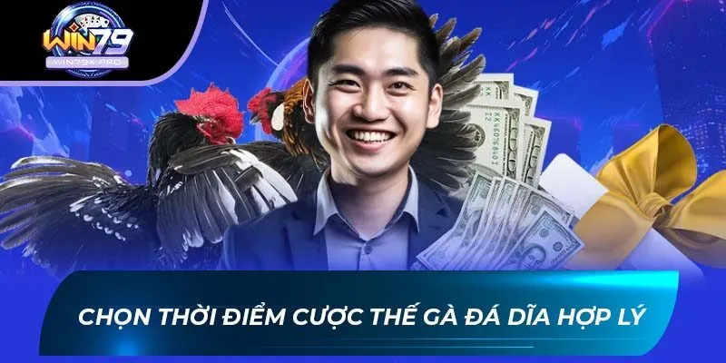 Chọn thời điểm cược Thế gà đá dĩa hợp lý