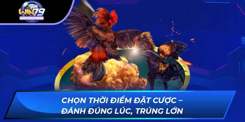 Chọn thời điểm đặt cược – Đánh đúng lúc, trúng lớn