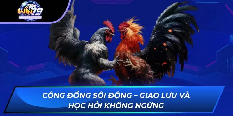 Cộng đồng sôi động – Giao lưu và học hỏi không ngừng