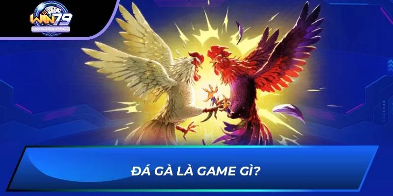 Đá gà là game gì?
