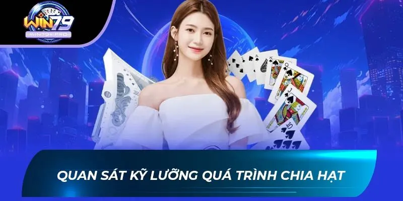 Quan Sát Kỹ Lưỡng Quá Trình Chia Hạt
