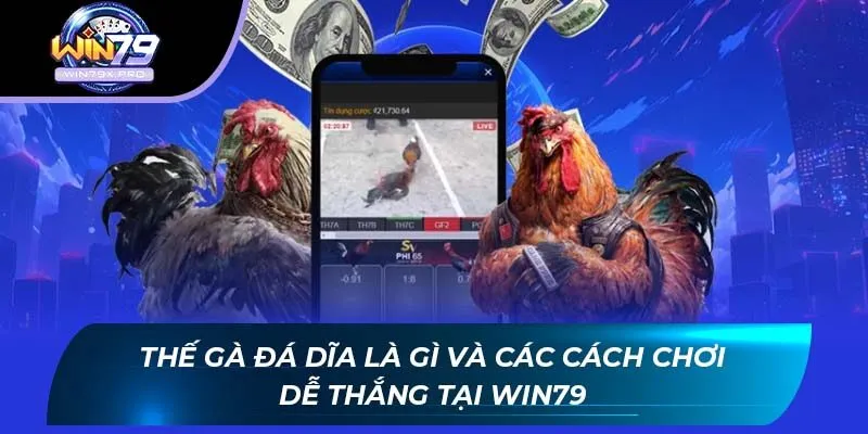 Thế Gà Đá Dĩa Là Gì Và Các Cách Chơi Dễ Thắng Tại Win79